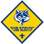 Cub Scouts